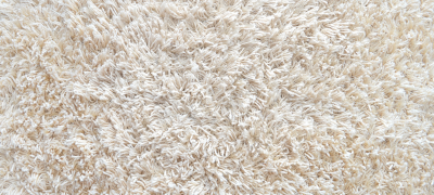 Read more about the article Carpet – Yay or Nay?